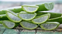 Aloe Vera