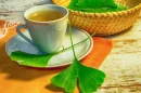 Te ginkgo