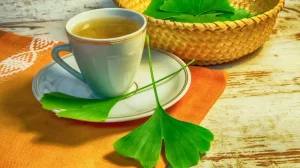 Te ginkgo