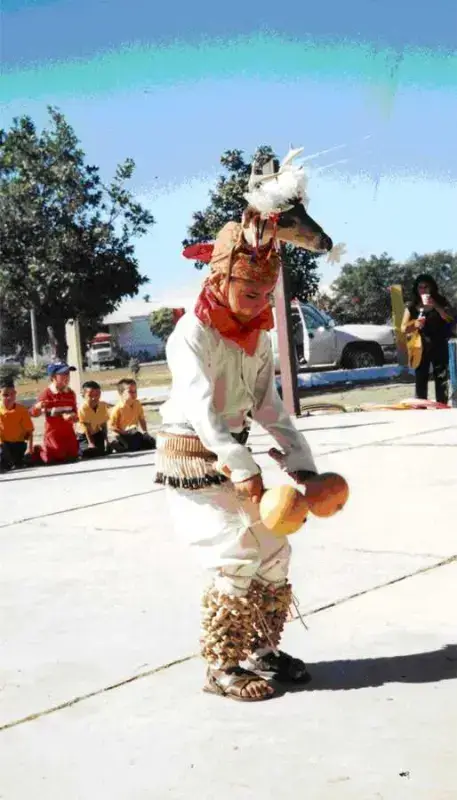 Danza del venado Danza del venado