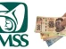 IMSS Afore Pensión