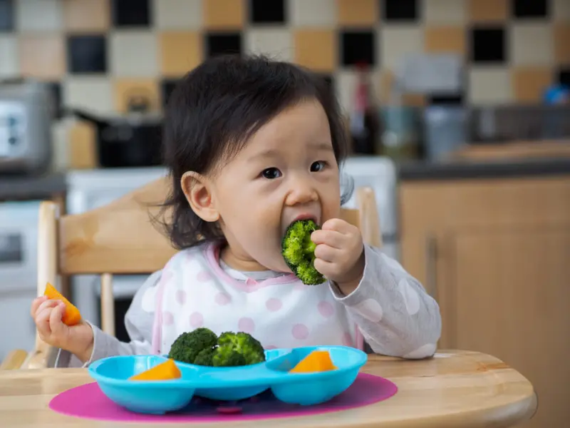 Comer Brócoli