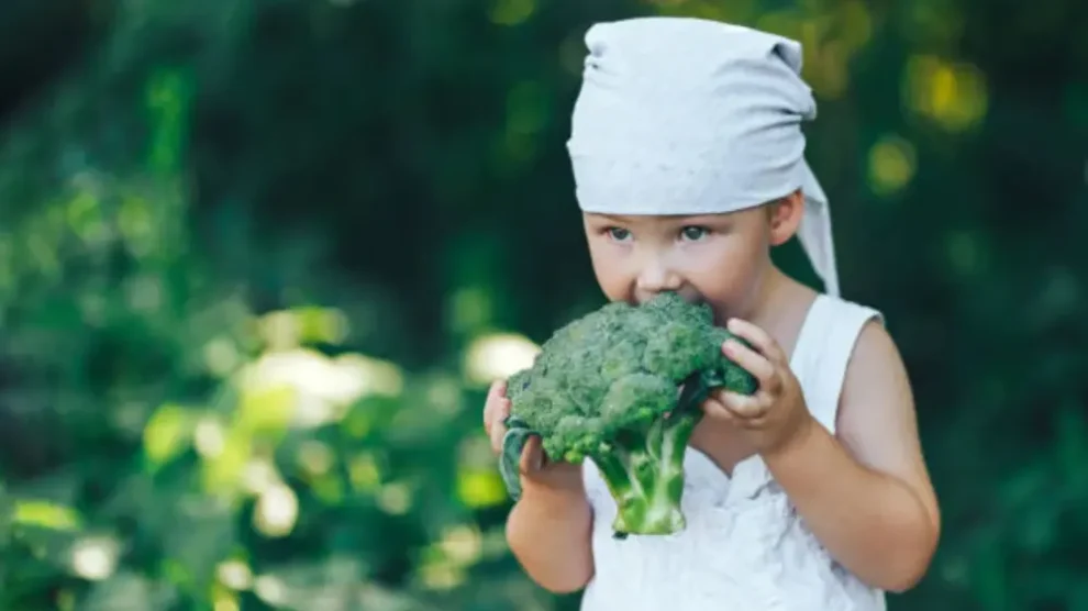 Comer Brócoli