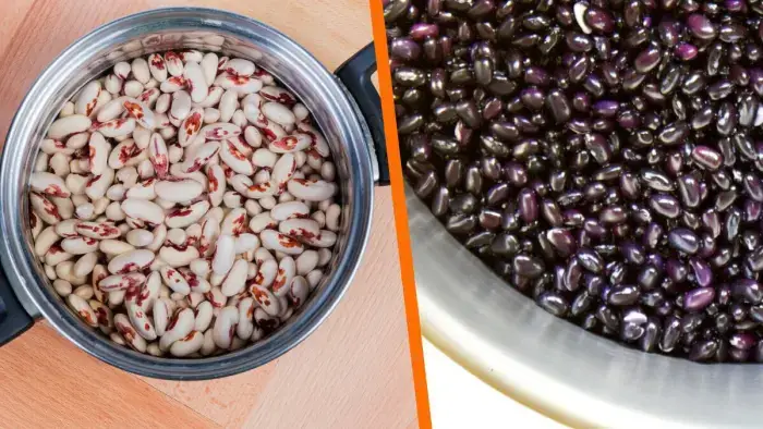 Frijoles y lentejas Frijoles y lentejas