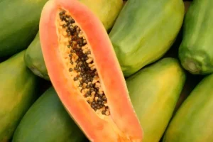 Papaya limpieza de colón