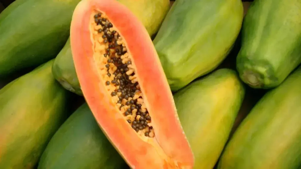 Papaya limpieza de colón