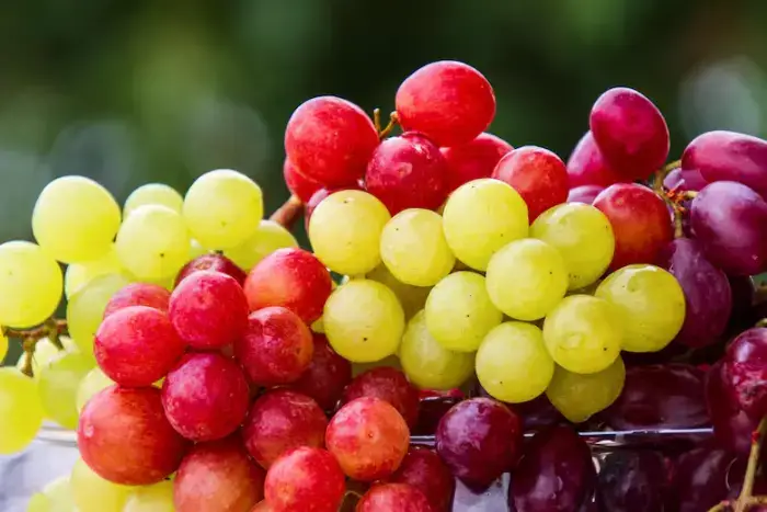 Las uvas contienen la clave para el equilibrio Las uvas contienen la clave para el equilibrio