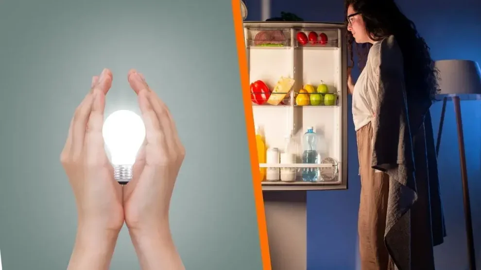 Ahorrar en el refrigerador