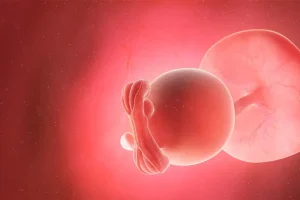 Esquizofrenia embrión