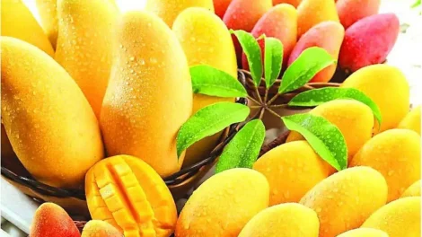 Mango para prevenir la diabetes
