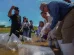 Pesca comercial y deportiva con 24.5 millones de alevines
