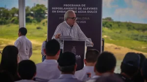 Siembra de alevines en la presa Sanalona