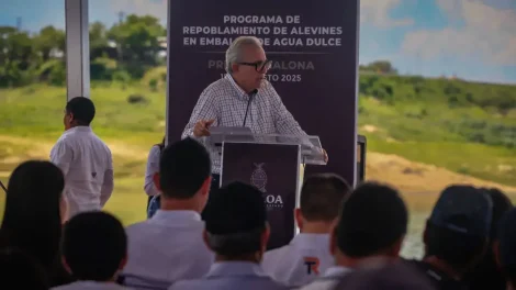 Siembra de alevines en la presa Sanalona