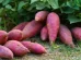 batata