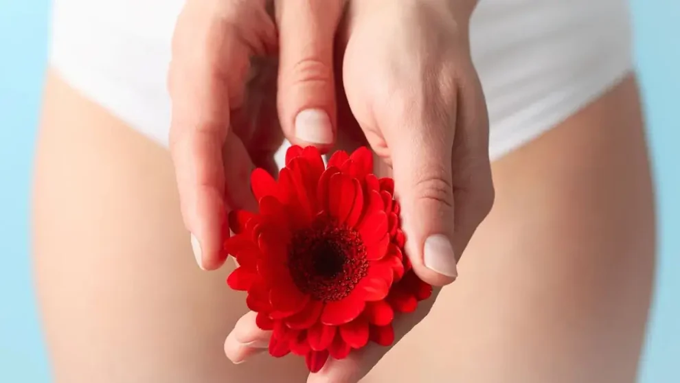 flujo vaginal