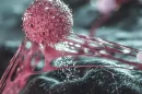 Papel oculto de las células madre cancerígenas
