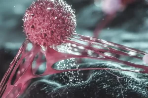 Papel oculto de las células madre cancerígenas