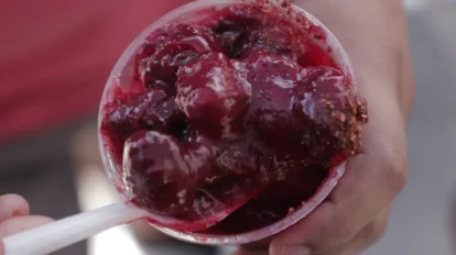 Receta de chamoy
