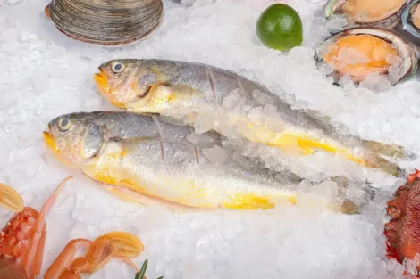 Descongelar pescado correctamente