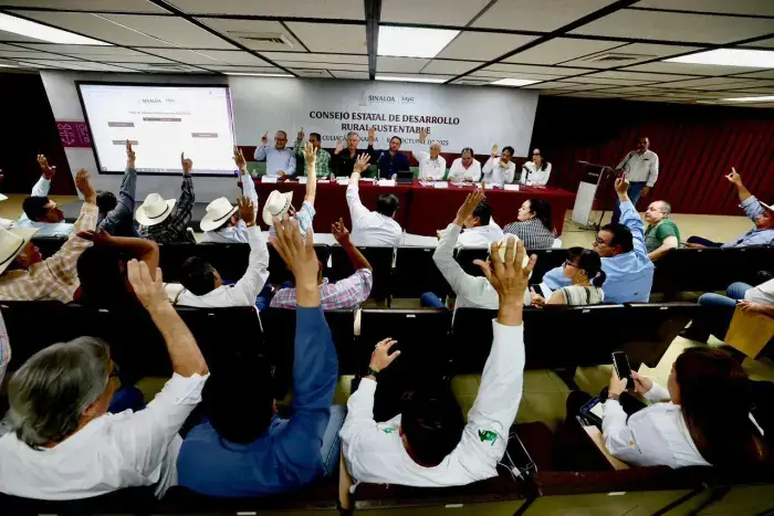 Aprueban autoridades y productores superficie de siembra para ciclo agrícola en Sinaloa
