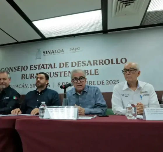 Aprueban autoridades y productores superficie de siembra para ciclo agrícola en Sinaloa