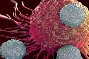 Bacteria ataca célula cancerosa