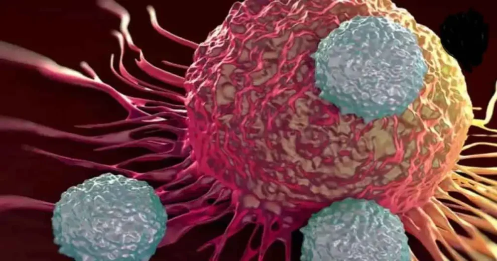 Bacteria ataca célula cancerosa