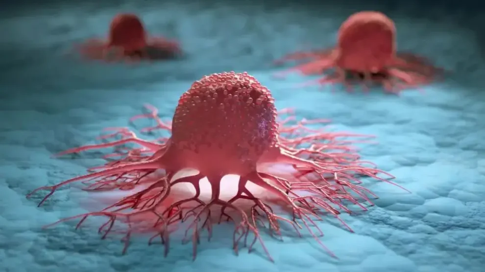 Celular de Cáncer frenado