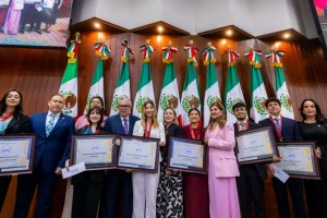Medalla al Mérito Juvenil