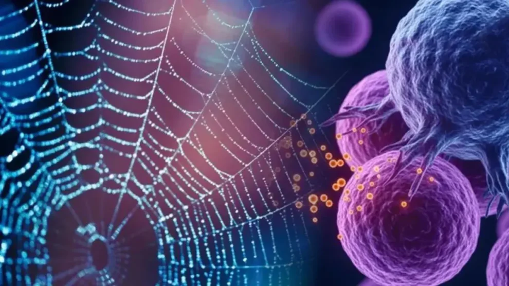 Seda de araña contra el cáncer