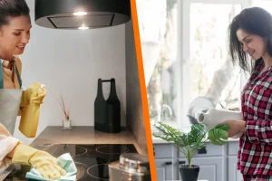 5 plantas que absorben humedad