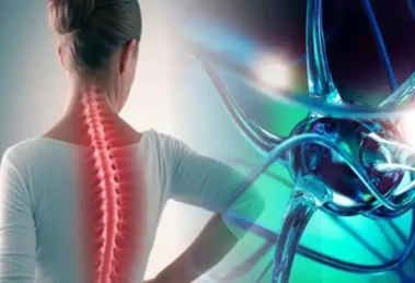 Fármaco que regenera la médula espinal