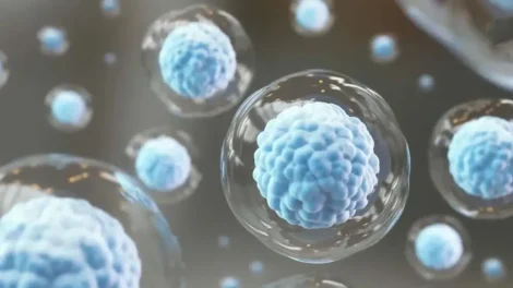 Células estomacales productoras de insulina