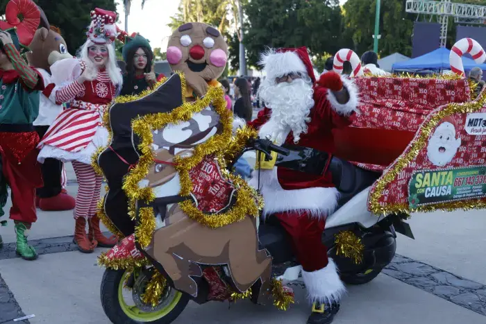 Encendido del monumental árbol de Navidad Encendido del monumental árbol de Navidad