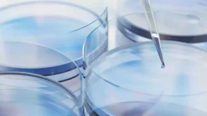 Españoles desarrollan gel para curar heridas