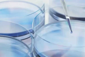 Españoles desarrollan gel para curar heridas