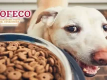 PROFECO Croquetas Ganador Premium