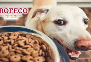 PROFECO Croquetas Ganador Premium