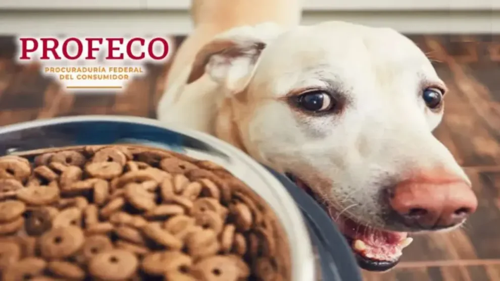 PROFECO Croquetas Ganador Premium