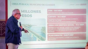 Puente de Bella Vista-Boca del Río-Las Glorias