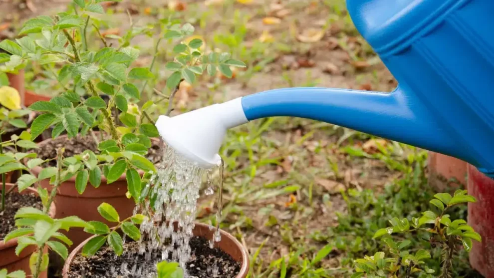 Regadera de jardín