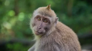 Rejuvenecer es posible