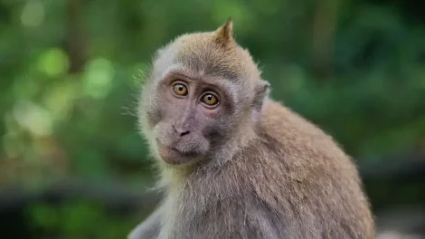 Rejuvenecer es posible