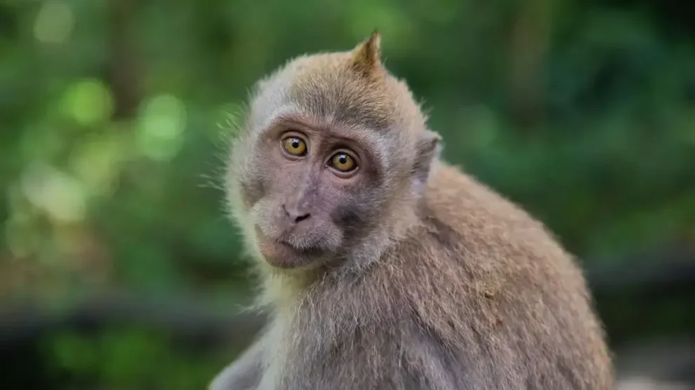 Rejuvenecer es posible