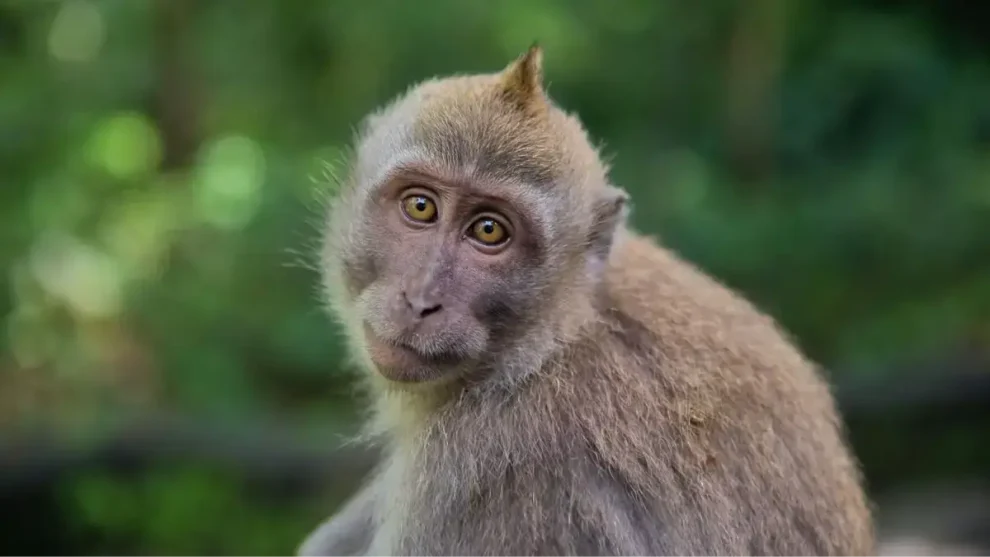 Rejuvenecer es posible