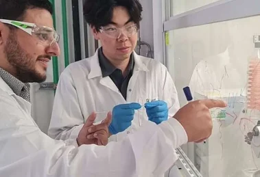 Insulina Profr Farah