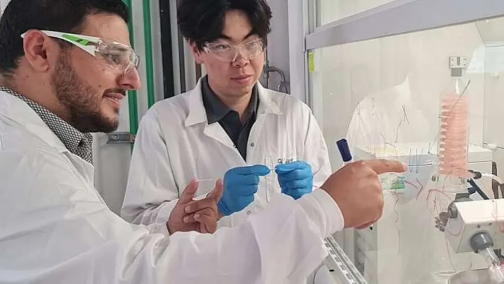 Insulina Profr Farah