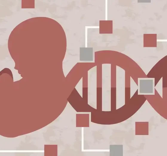 Tijeras genéticas transforman la biología moderna