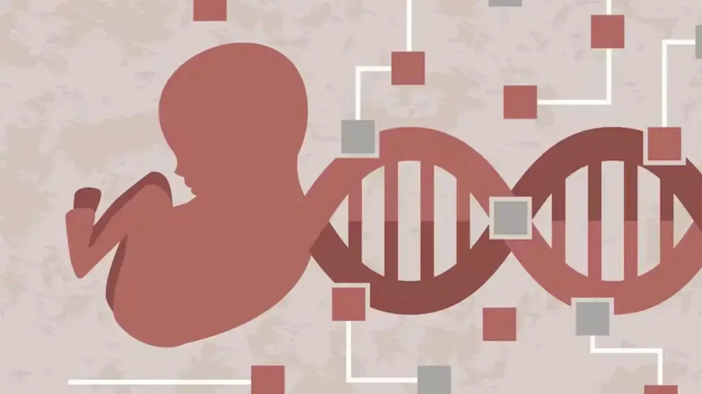 Tijeras genéticas transforman la biología moderna