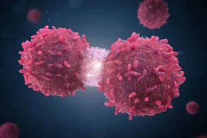 Cáncer y conservadores